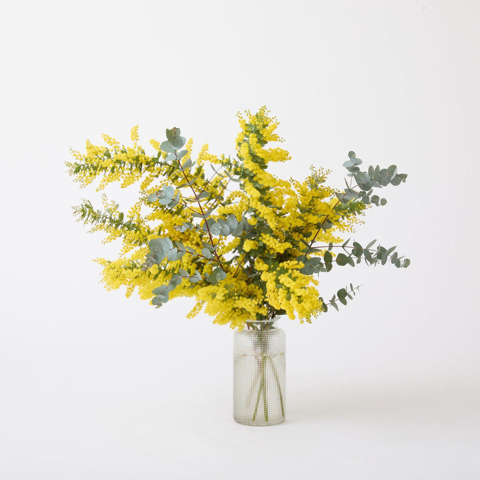 【季節の枝物定期便 】Pure-Tree